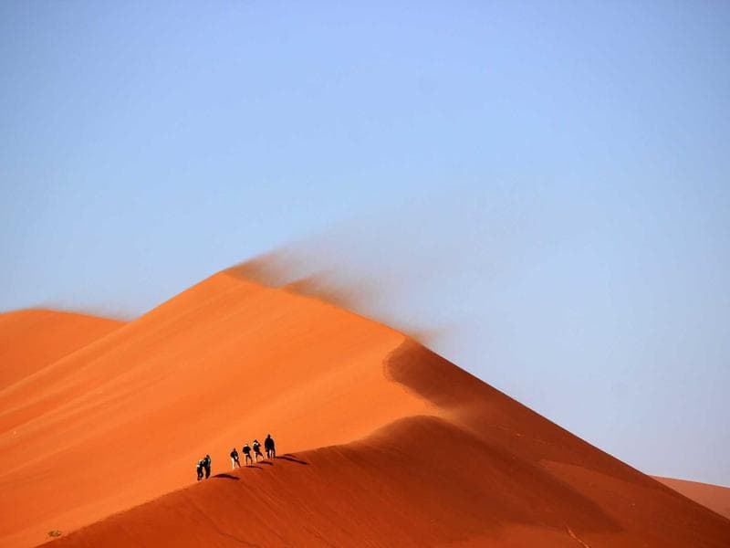 M&A & Corporate Restructuring